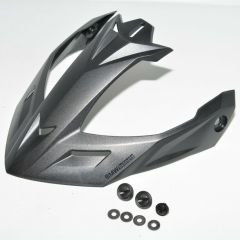BMW Shield for GS Helmet 76318549869